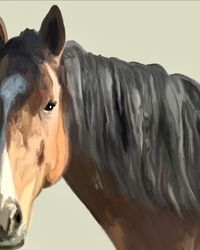 Pferde-Portr&auml;t